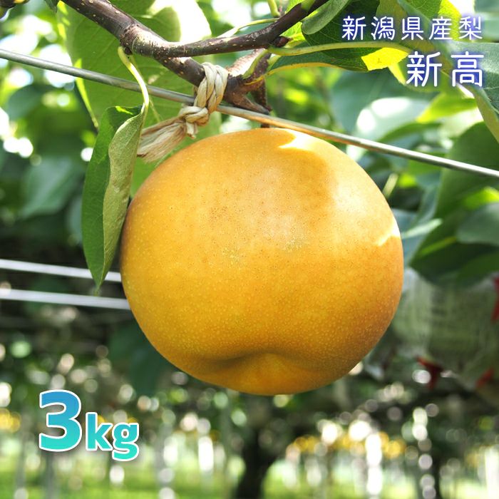 000000000669-01-l.jpg?t=