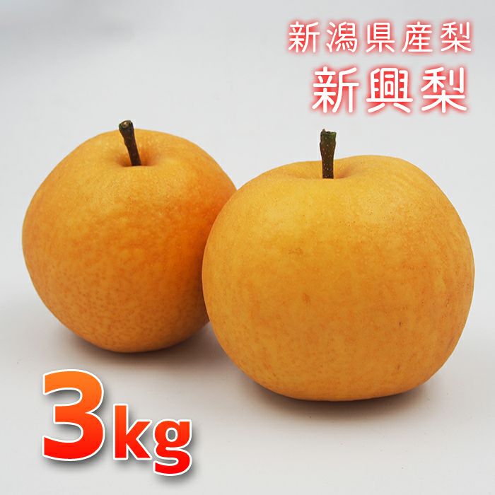 [Shipping reservation starts on November 1st! Niigata pears made by Mr.  and Mrs. Kaneko! Shinko pear 3kg (around 5-7 pieces)