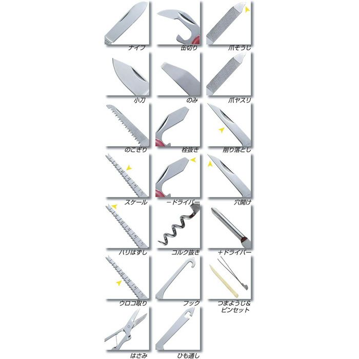 L-36