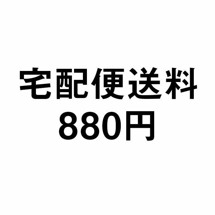 頑張って送料無料！】 鍛造ペグ エリッゼステーク28cm 5本セット MK