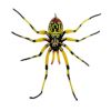【M-46】女郎蜘蛛 除労蜘蛛龍宝丸 蜘蛛の巣、ガ、ブヨ、カメムシなどへの天敵効果で、害虫対策安全ピンやストラップで吊るすだけ