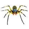 【M-46】女郎蜘蛛 除労蜘蛛龍宝丸 蜘蛛の巣、ガ、ブヨ、カメムシ