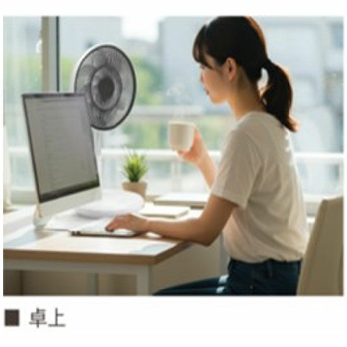 BGF-011P