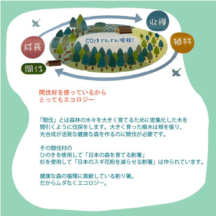 日本の森を育てる割箸